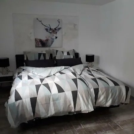 Zur Grunen Bank Appartement Koblenz (Rhineland-Palatinate)